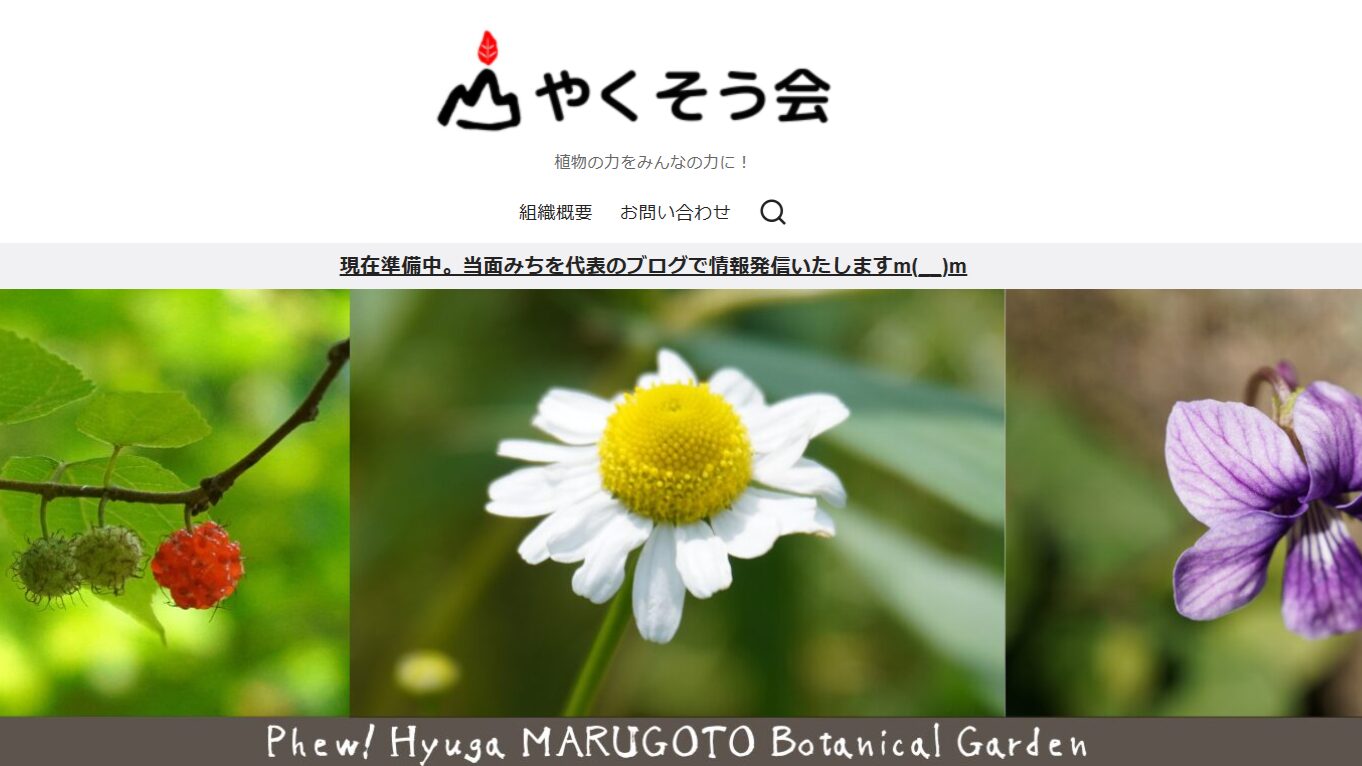 ホームページ再開！