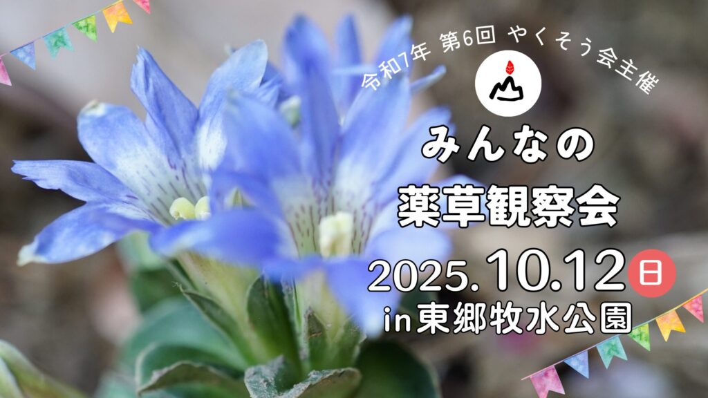第6回みんなの薬草観察会2025年10月12日開催決定！