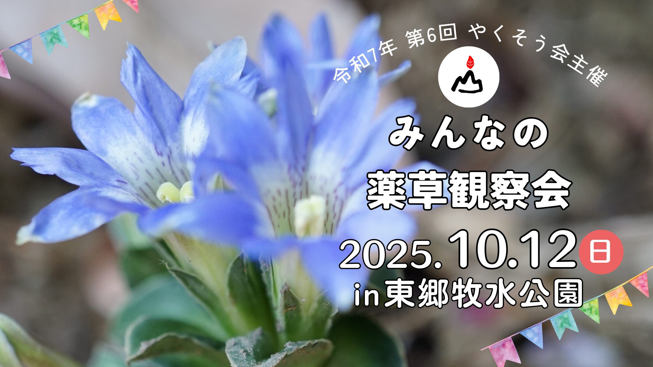 第6回みんなの薬草観察会2025年10月12日開催決定！