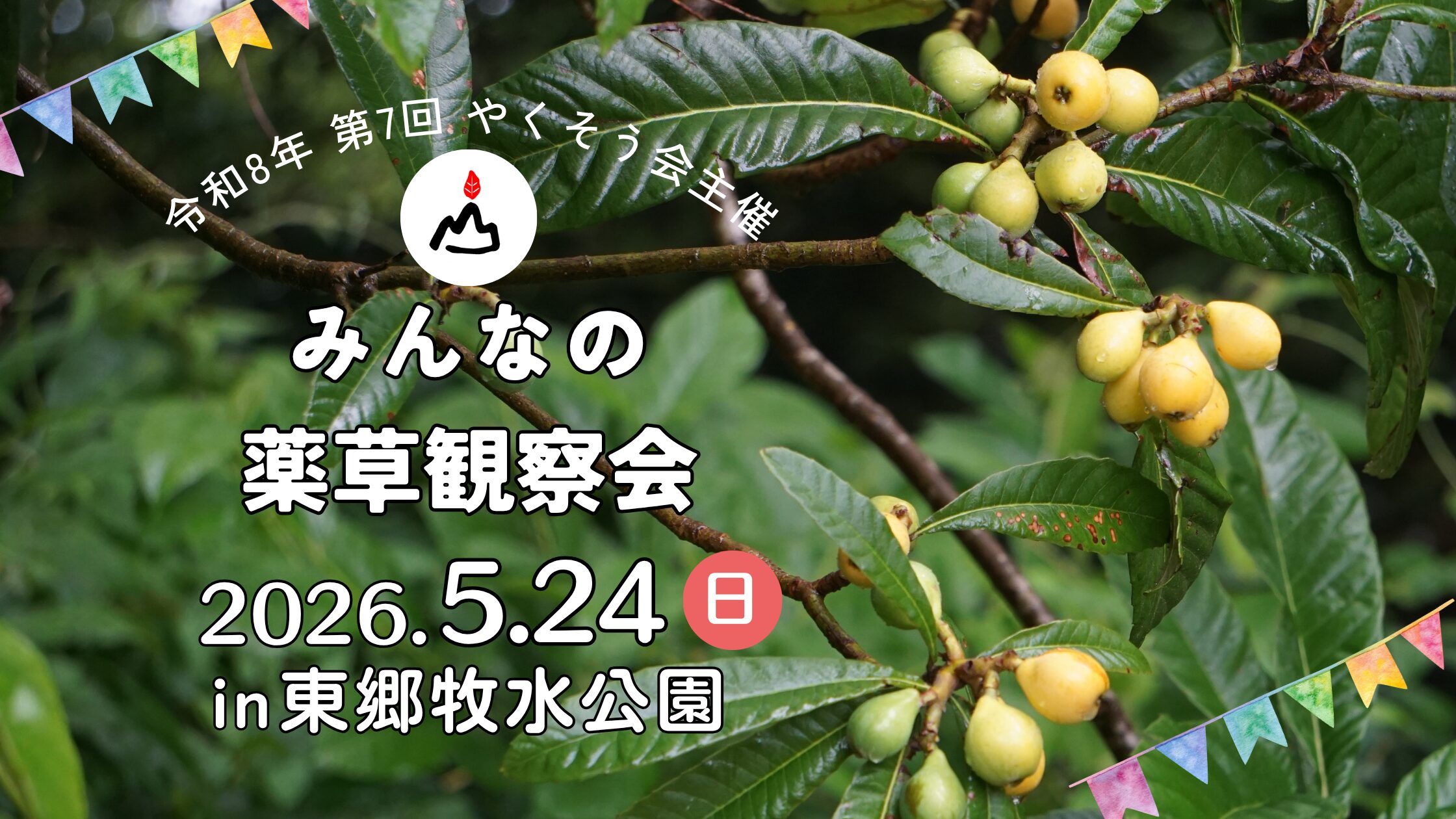 第7回みんなの薬草観察会開催のお知らせ