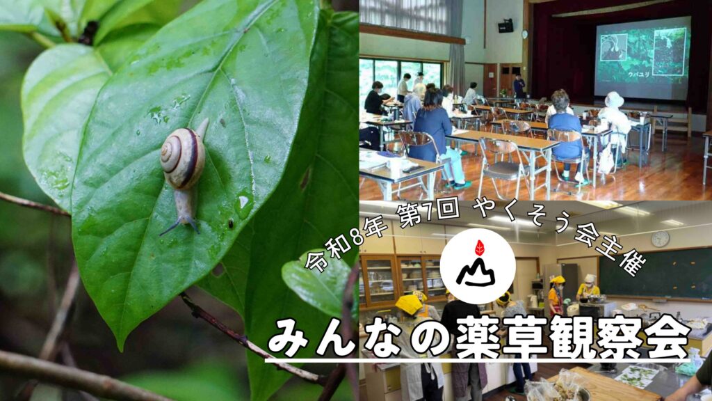第7回みんなの薬草観察会が開催されました！
