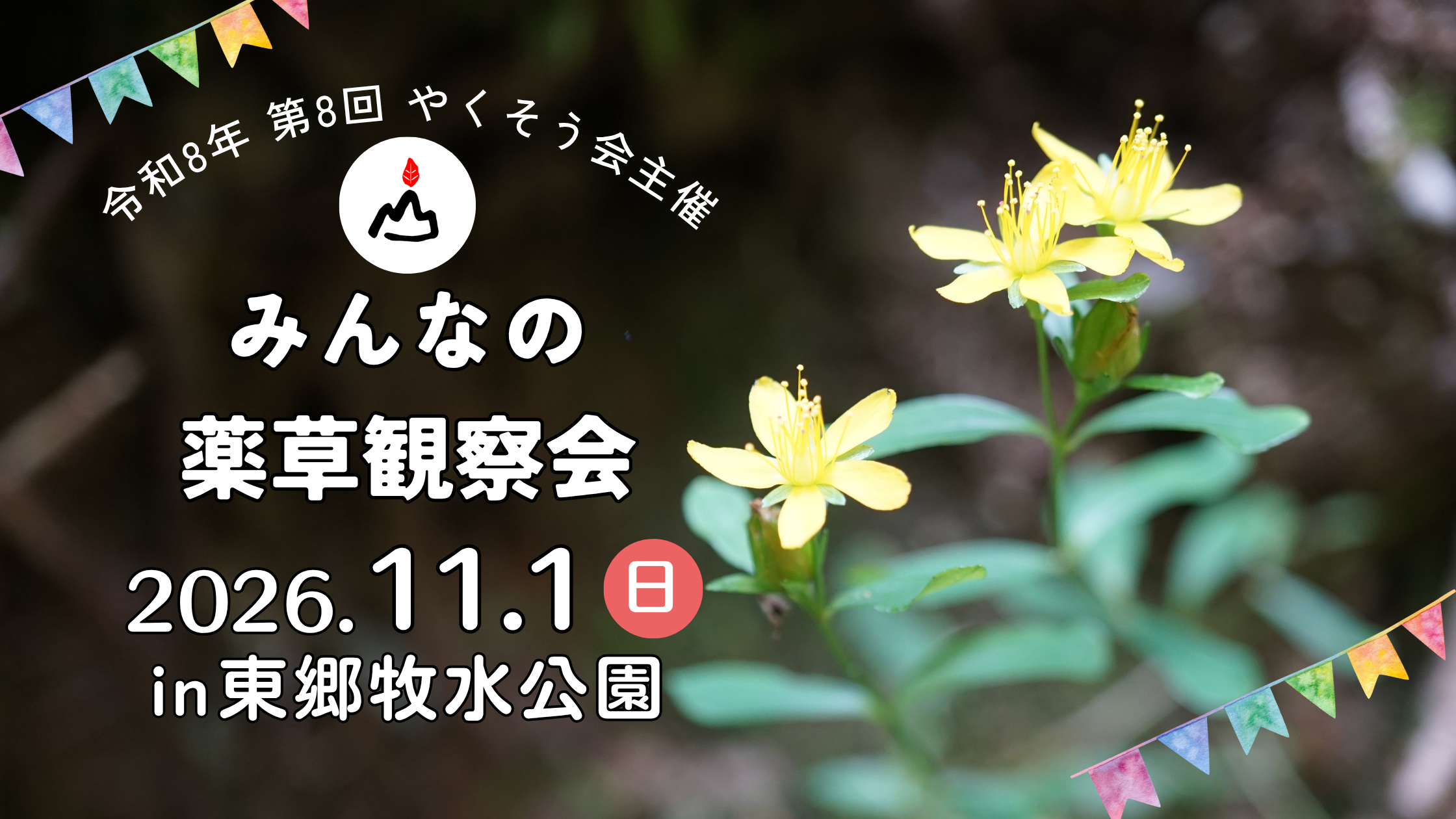 第8回みんなの薬草観察会開催のお知らせ