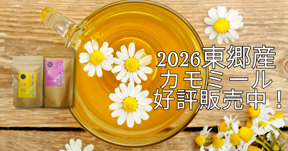 2026年産 東郷産カモミールティー好評販売中！
